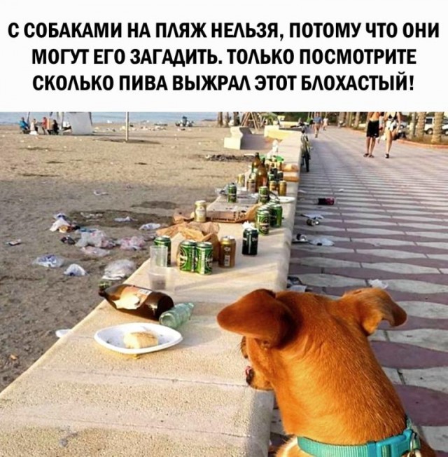 Картинки и мемы для настроения 03.06.2021