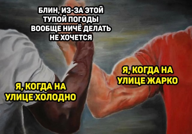 Весёлый полтишок 10.08