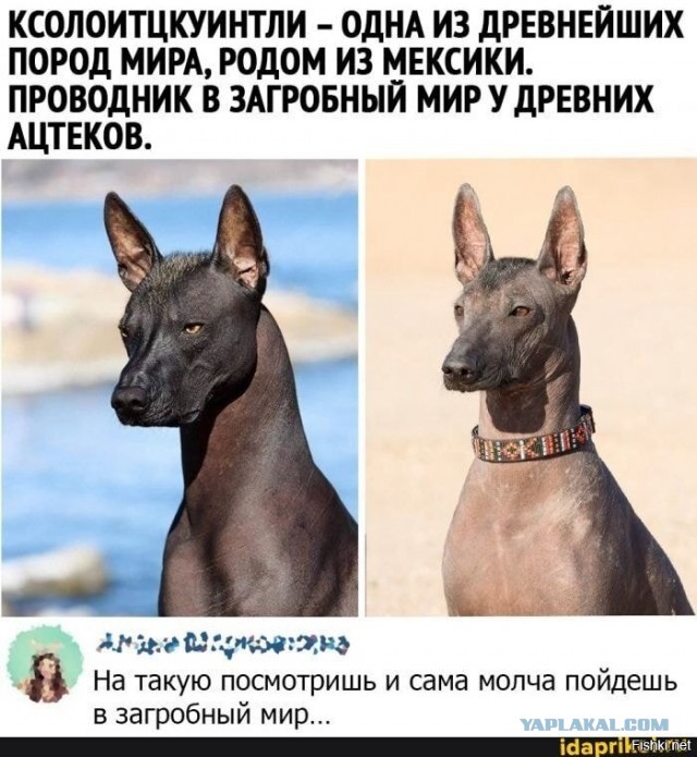 Так себе картинки 15.08.21