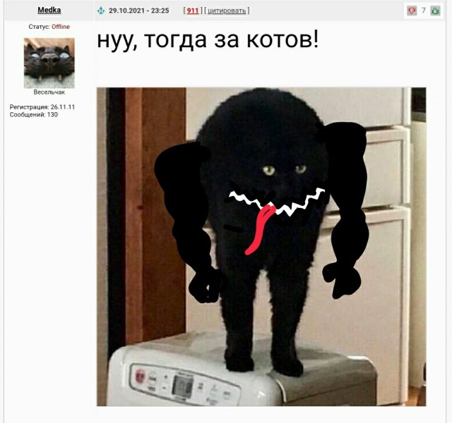 День кота.