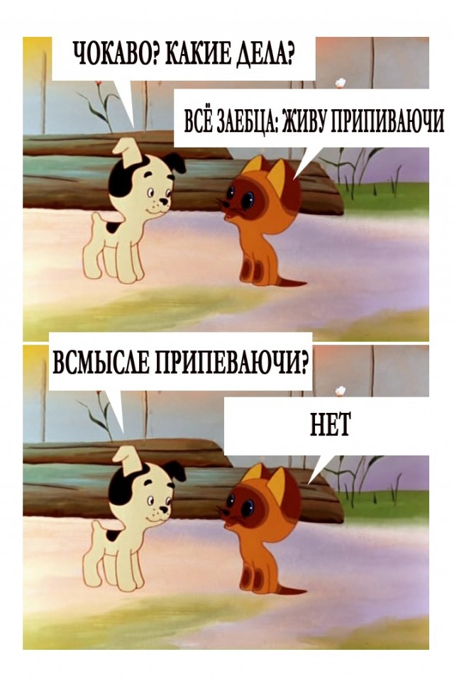 Всяческие картинки 08.11.2021