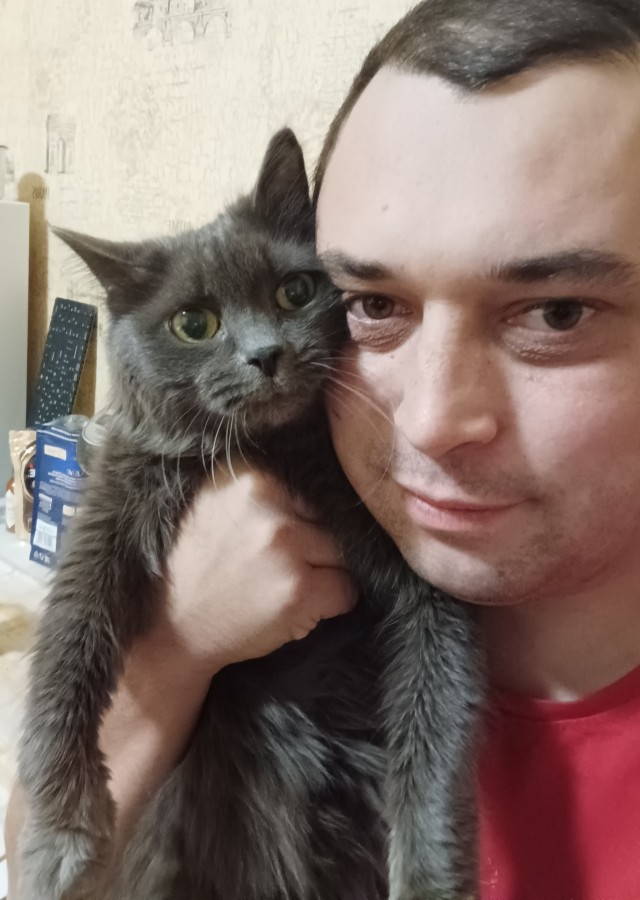 Кот Мейн-кун: царь домашних кошек!