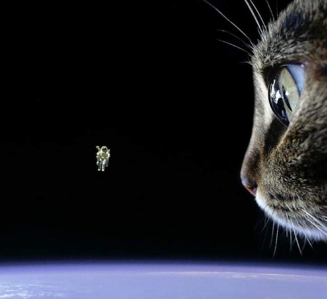 Crazy Art "Новогодний 22"