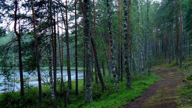 Вуокса 12.07.11