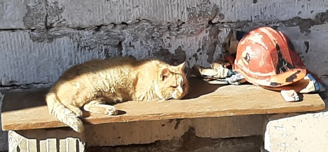 А что, уже вторник?