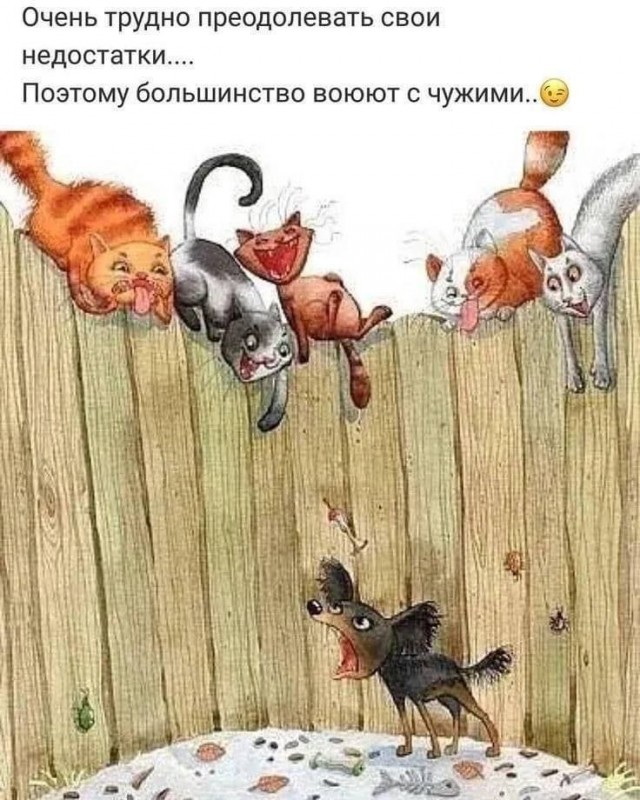 Пандемия. Коронавирус и съехавшие крыши. Россия и мир. Часть 34.