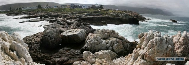 ЮАР, Замбия, Ботсвана