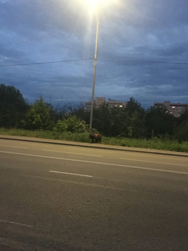 Девушкам пофиг на секс? Миф!