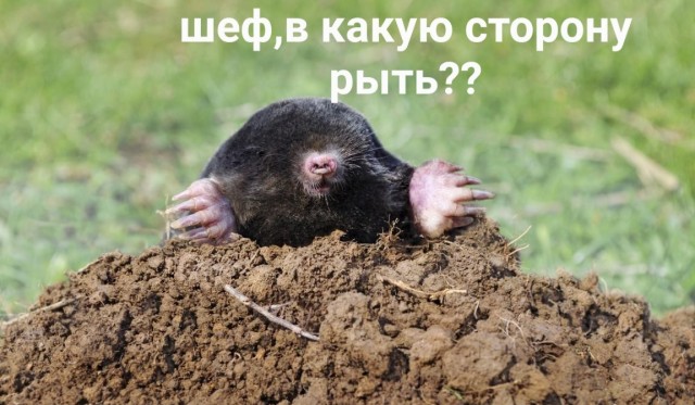 Лукашенко попросил у России 10 млрд долларов на строительство подземного туннеля в Калининград