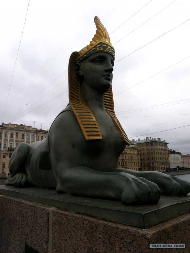 СПб глазами уставшего туриста...