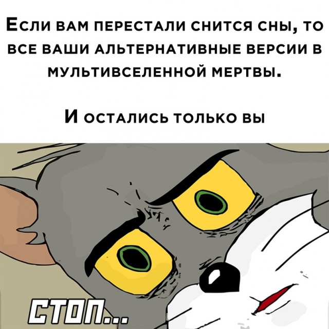 Весёлый полтишок 5.08.22