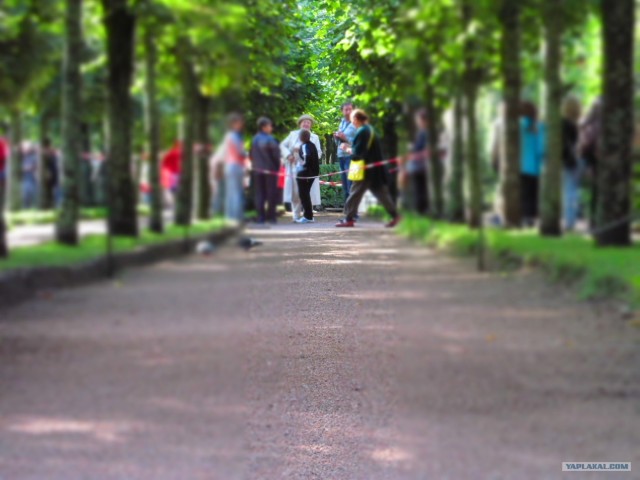 Северная столица России - Санкт-Петербург