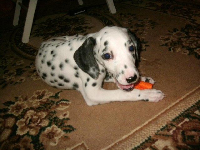 Что мне делать?Новосибирск-помогите.