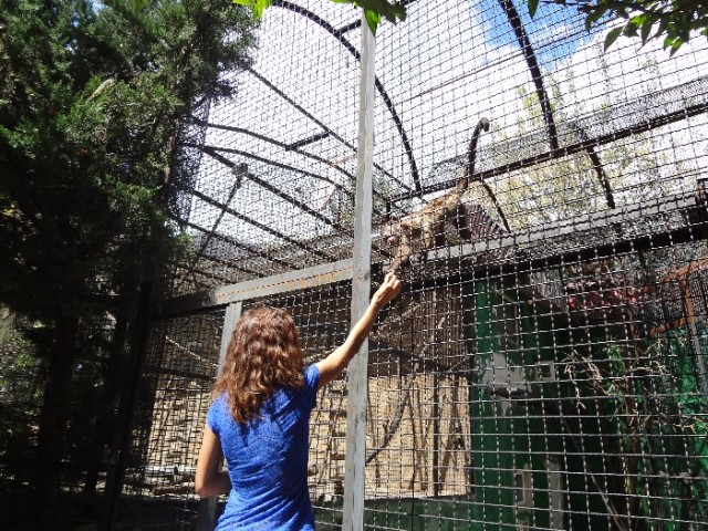 Впервые в Крыму