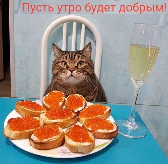 Так себе картинки 25.12.22