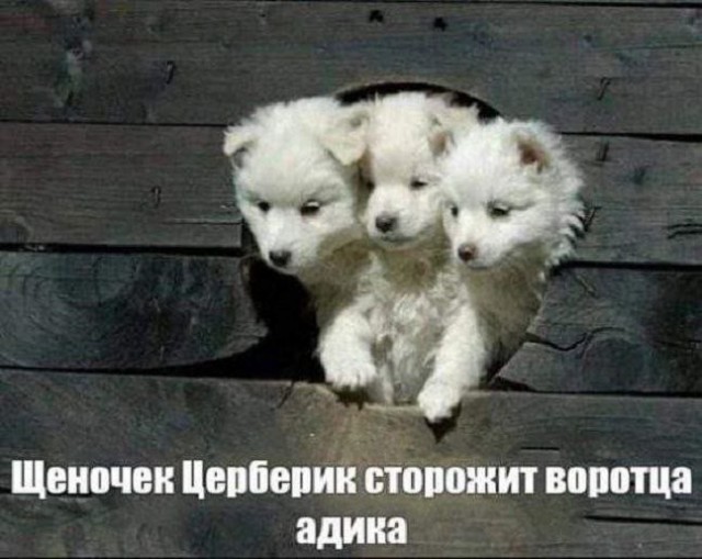 Картинок разной степени @анутости псто.