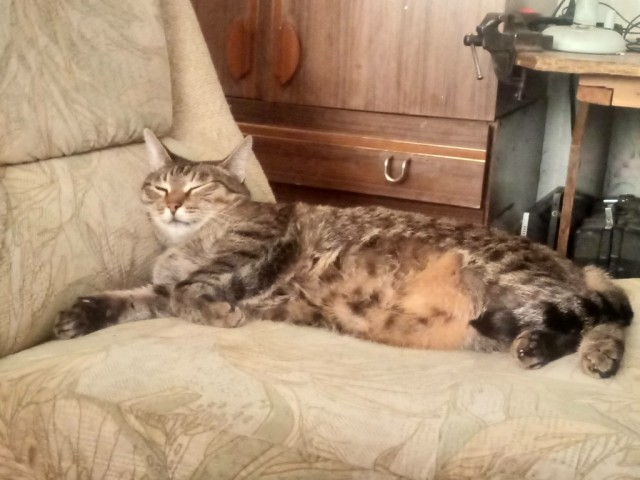 Кормилец пришёл
