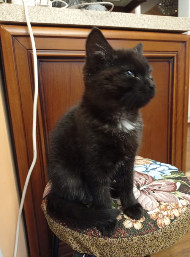 Я в ваших рядах, братцы, рабы!!!