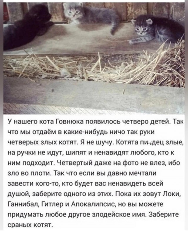 Юмор в картинках и без