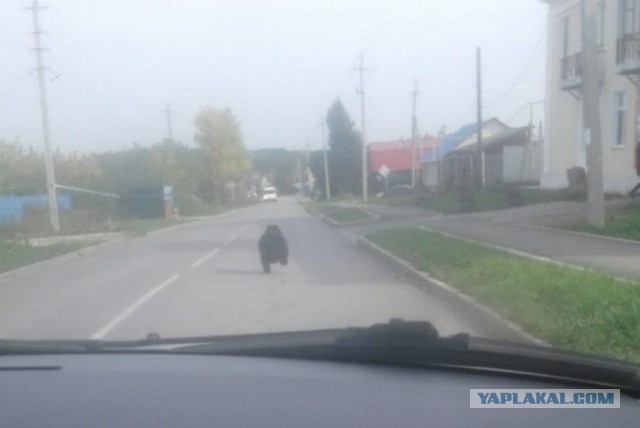 Уральские пейзажи в районе реки Реж