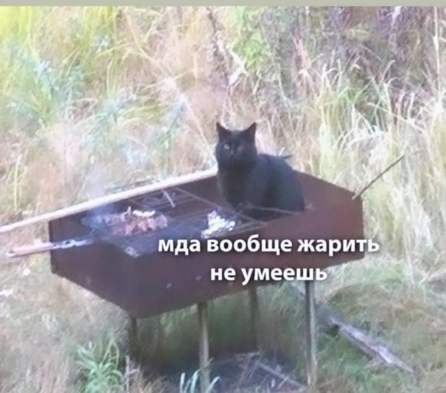 Фото подборка, от Скодеро