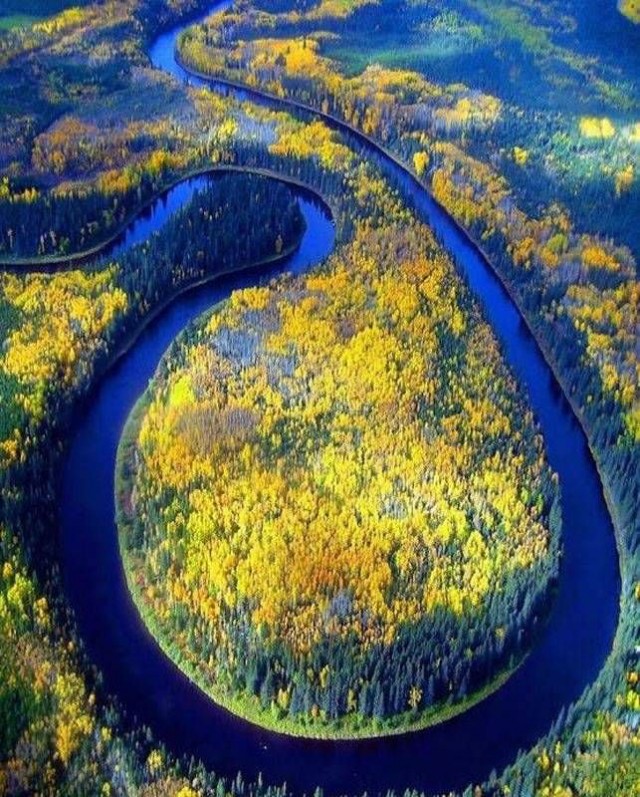 Уморные пикчи