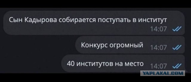 Адама Кадырова наградили орденом «Трудовая доблесть России» и медалью «За вклад в развитие Российского университета спецназа»