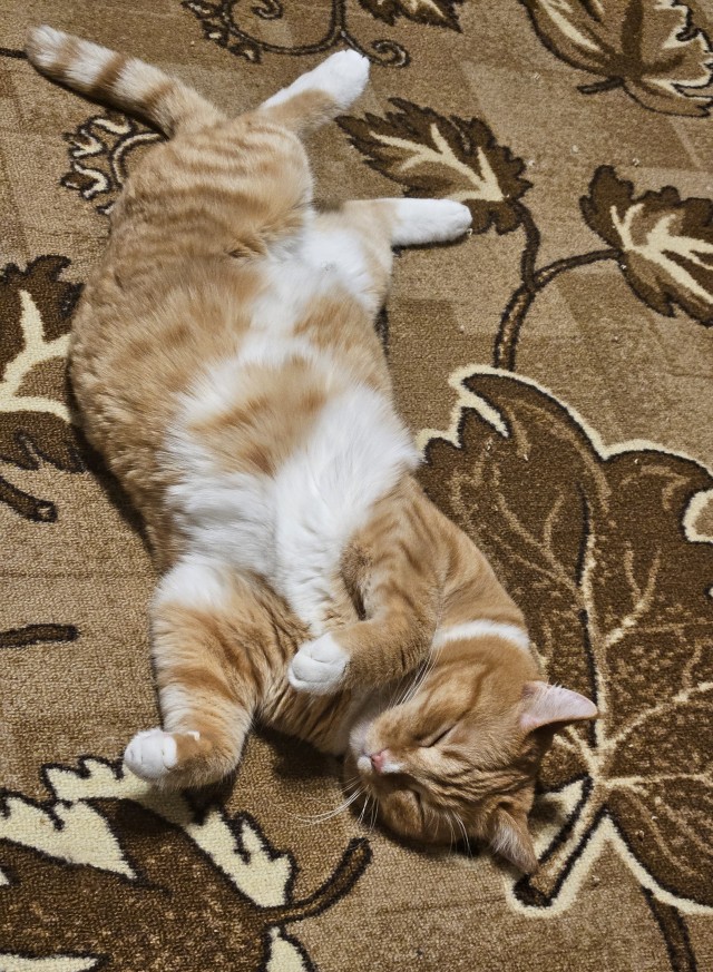 Кекс