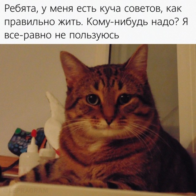 Никакие картинки