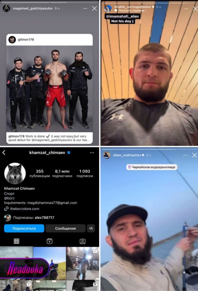 Дагестанские звезды спорта, позиционирующие себя патриотами республики, проигнорировали теракты на родной земле
