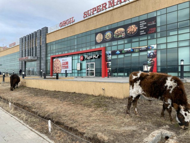 ФотоВинегрет