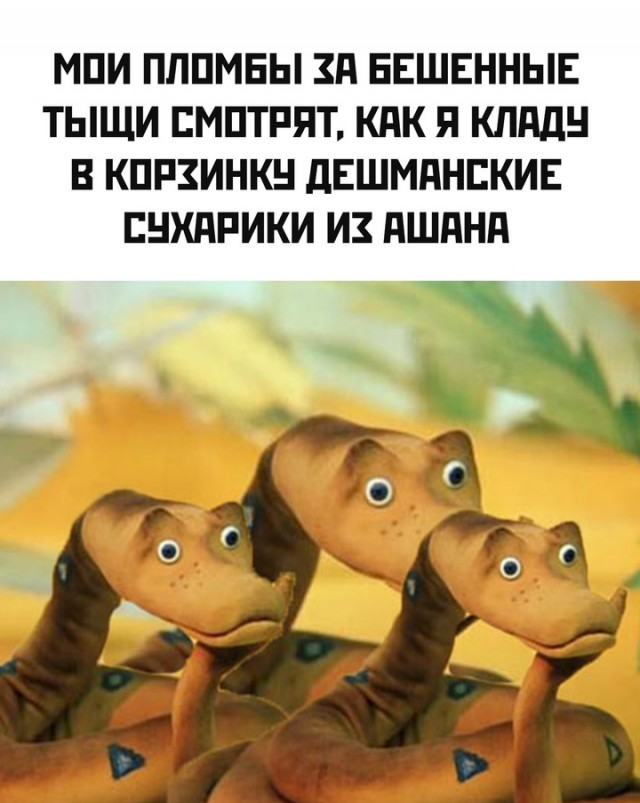 Весёлый полтишок 22.07 24
