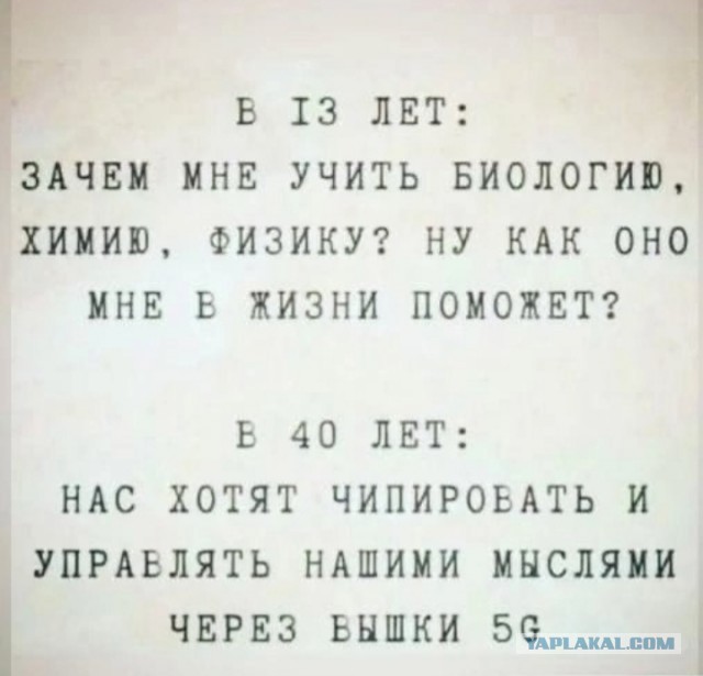Весёлый полтишок 13.08.24