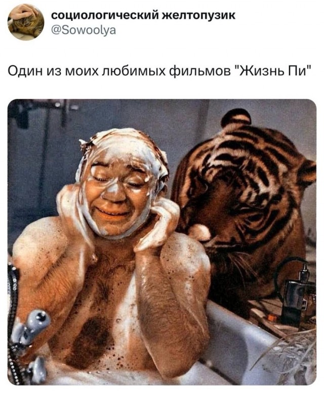 Так себе картинки 25.10.24