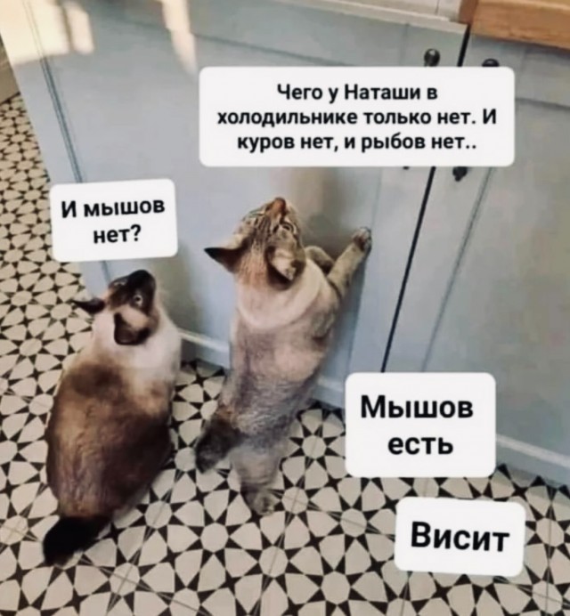 Завалялось тут случайно немного забавных картинок