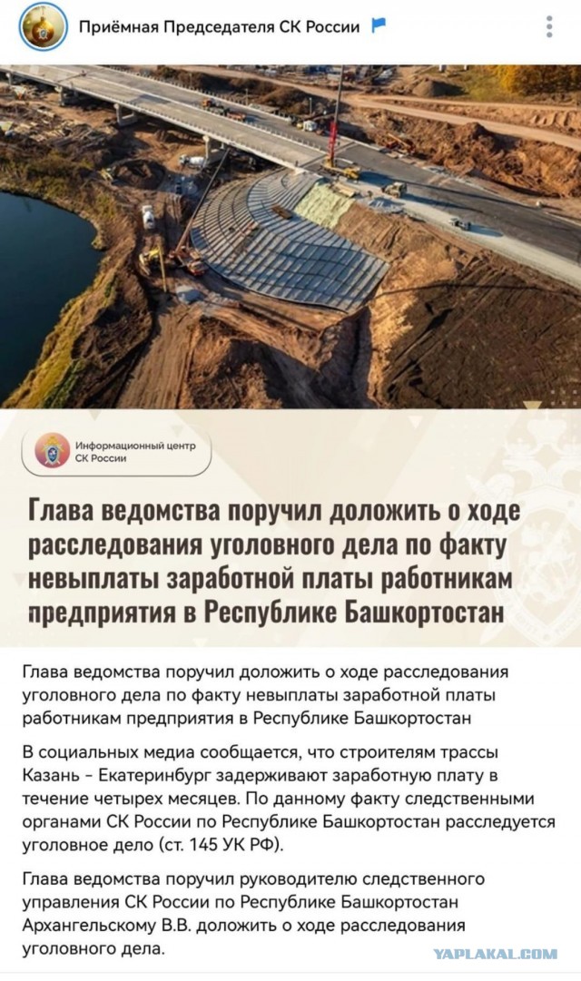 Вот почему только Бастрыкин и Вова могут?