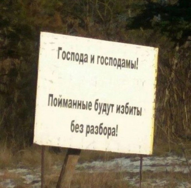 Прикольные и просто красивые картинки 10.01.2025