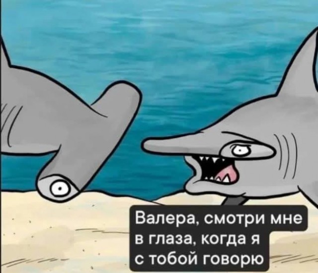 Маленькая пятница 19.03.25