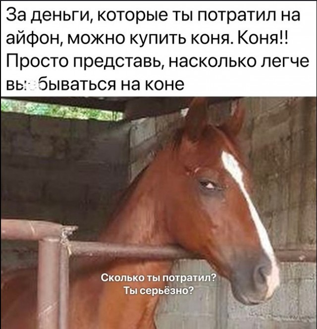 Что я узнал, переехав из города в деревню
