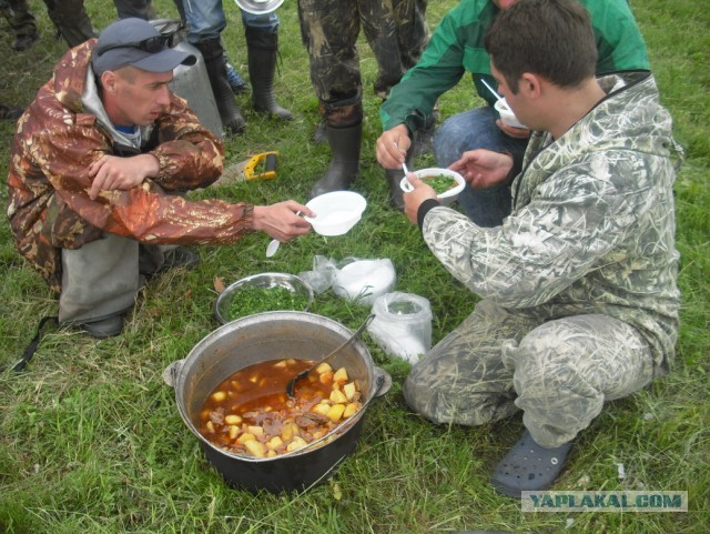 Поплавок 2013