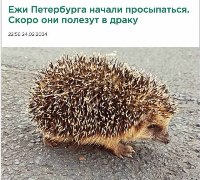 Отсутствие морально этических норм Vol.2