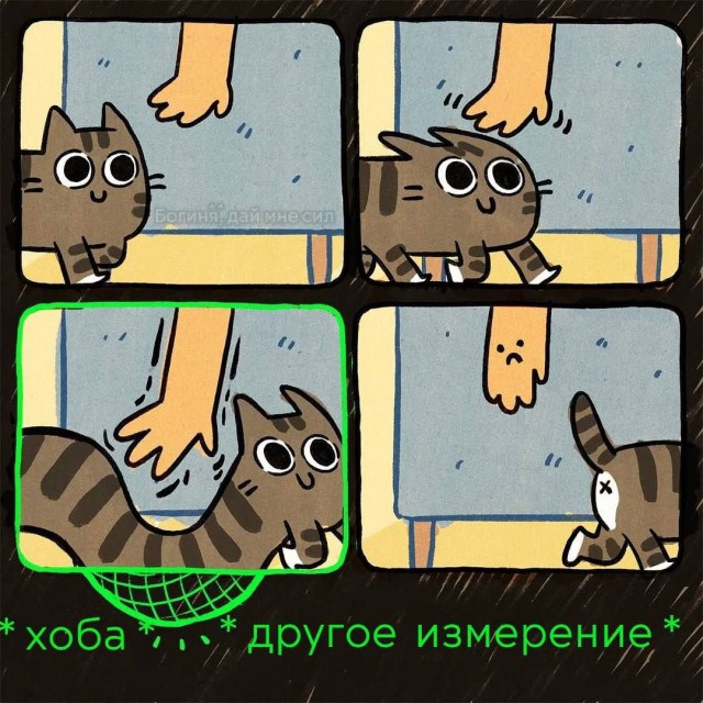 Веселые картинки в пятницу 25.02