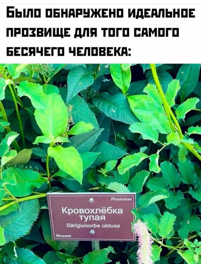 Маленькая пятница 6.08.25