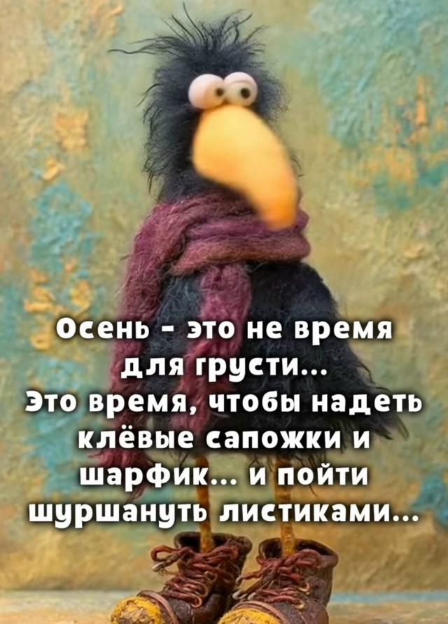Прикольные и просто красивые картинки 10.10.2025