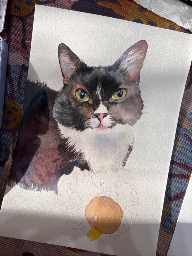 Кошка Ёшка, памятный портрет акварелью.