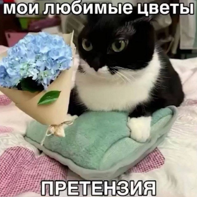 Небаянистая деградация 9