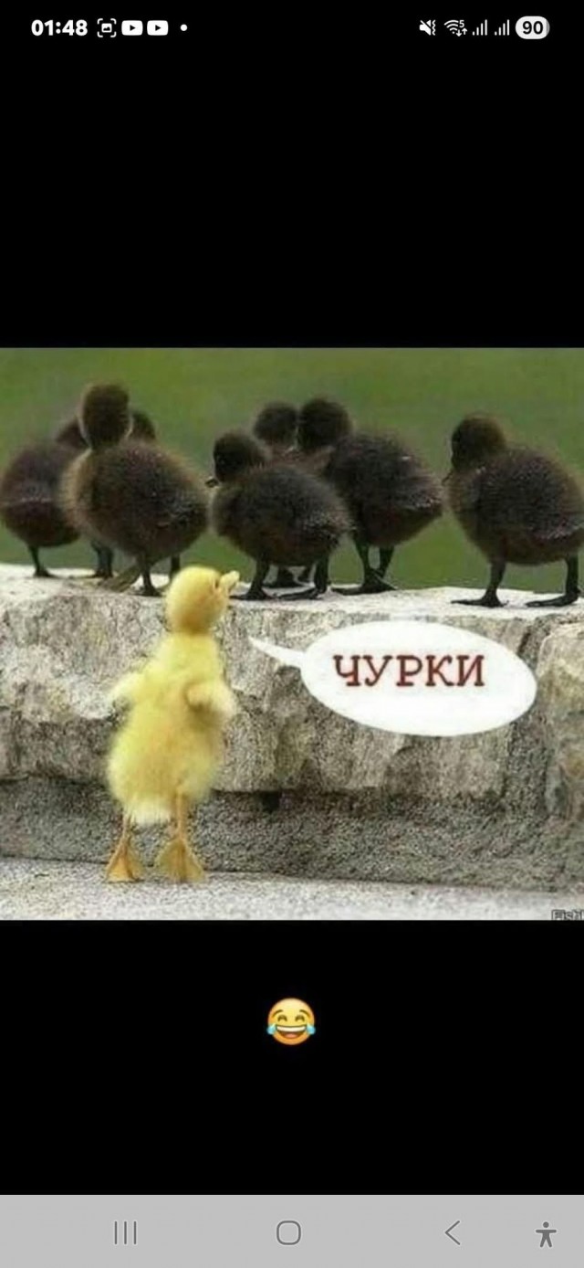 «Я прошу прощения. Я извиняюсь за то, что оскорбил русскую женщину»