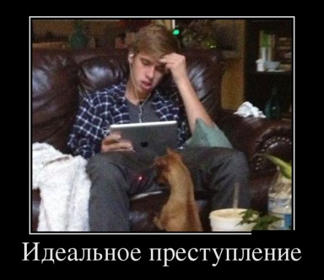 Подборка фотографий из серии " За секунду до.."