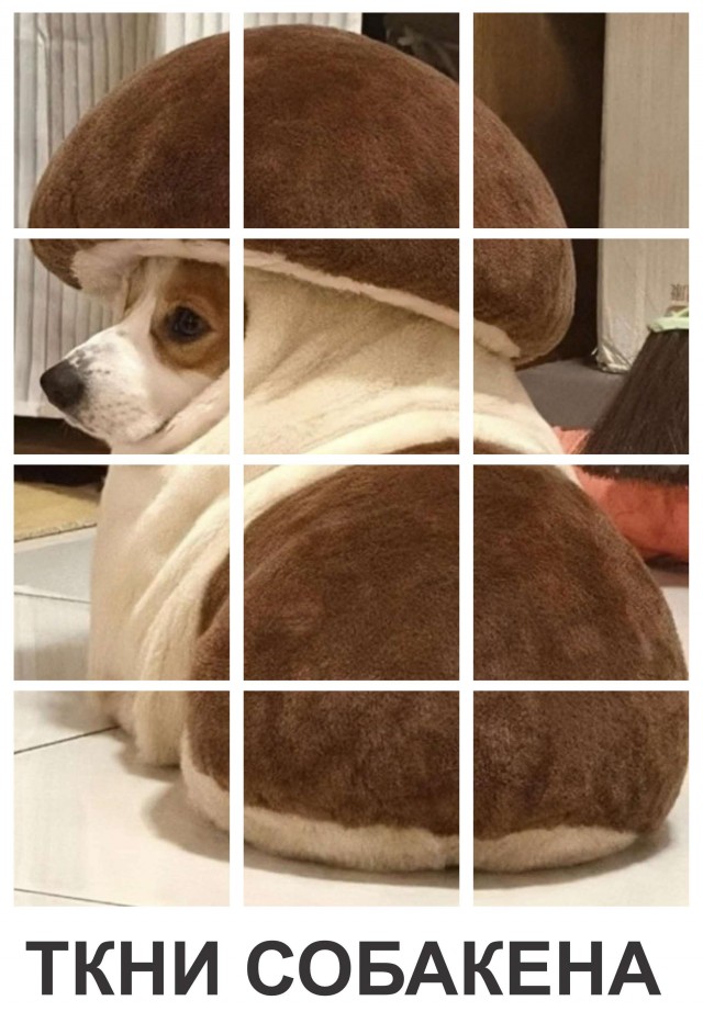 Капча