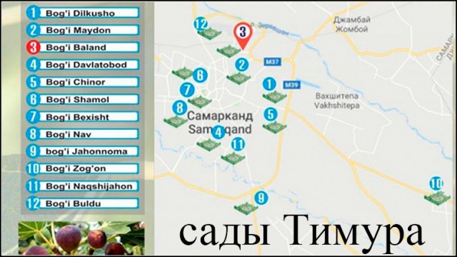 Свадебный подарок от волка на родине Тамерлана